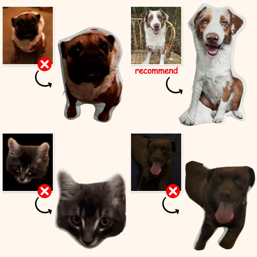 Customize Special-Shaped Pet Pillow DIY