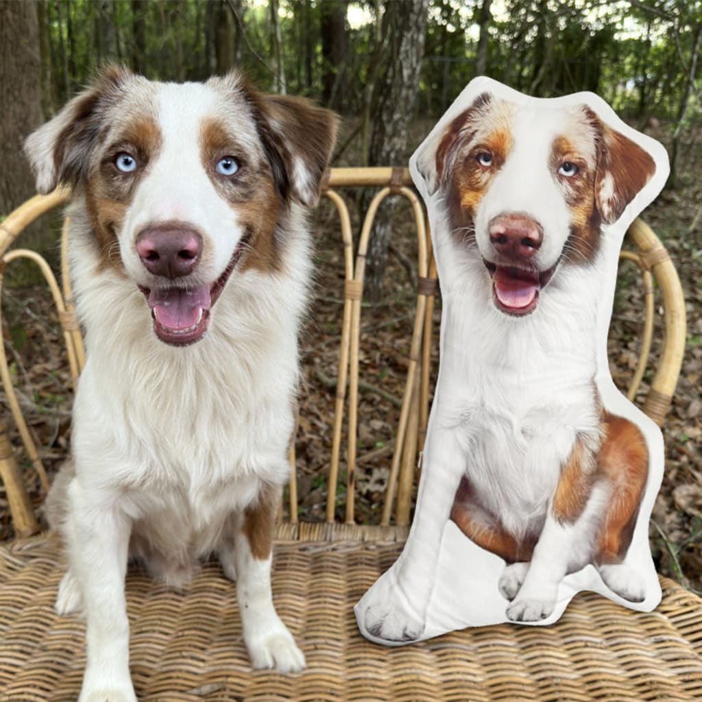 Customize Special-Shaped Pet Pillow DIY