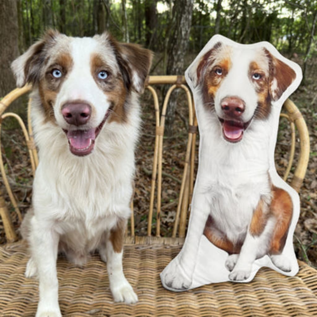 Customize Special-Shaped Pet Pillow DIY