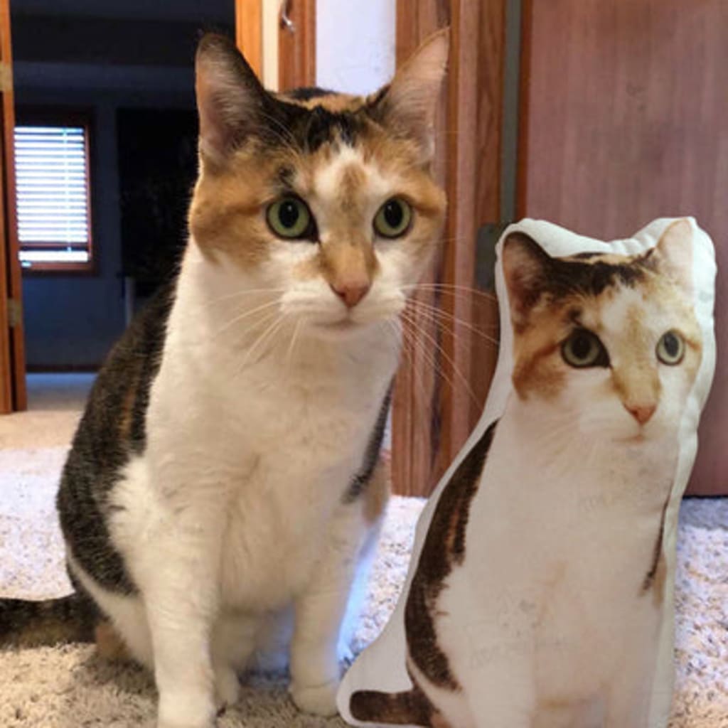 Customize Special-Shaped Pet Pillow DIY