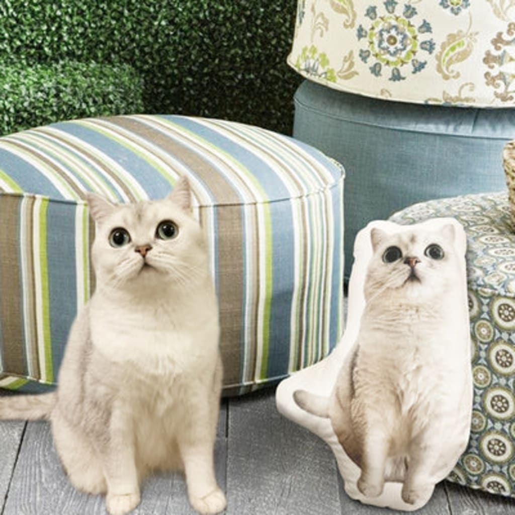 Customize Special-Shaped Pet Pillow DIY