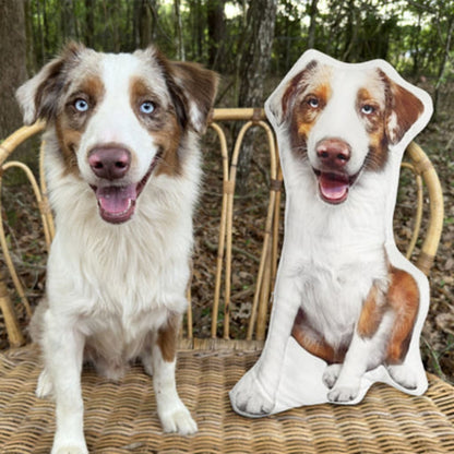 Customize Special-Shaped Pet Pillow DIY