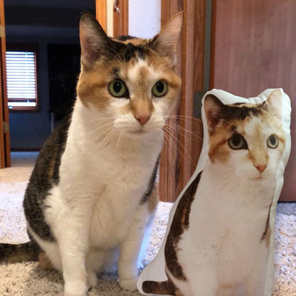 Customize Special-Shaped Pet Pillow DIY