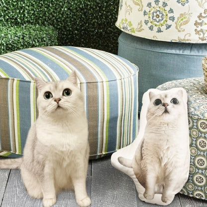 Customize Special-Shaped Pet Pillow DIY